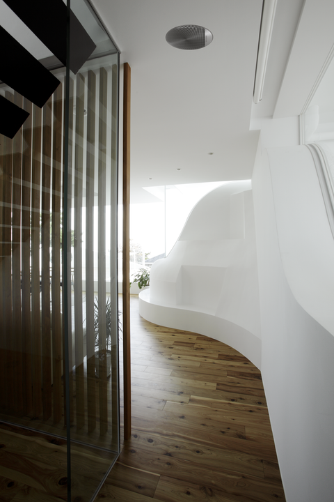 Celestial Advanced Grill 8 inch